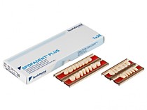 Зубы пластмассовые SpofaDental, комплект 28 зубов
