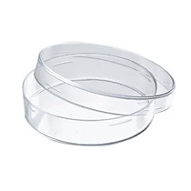 Чашка Петри с крышкой 100 х 20 мм, стекло, 1 шт