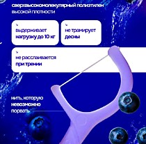 PESITRO флоссер ЧЕРНИКА 100шт